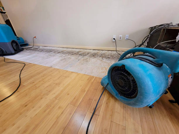 Professional Water Damage Repair technician working in Edmore, MI